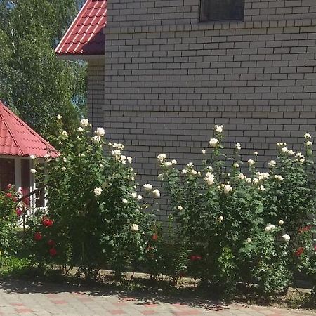 Hotel Tropicana Svitlovodsk Exteriér fotografie